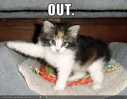 [Image: kitten-kicks-you-out.jpg]