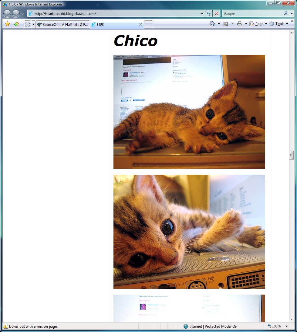 [Image: not_kaylees_kitteh.jpg]